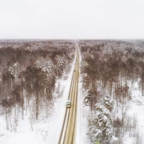 Photo #11958270