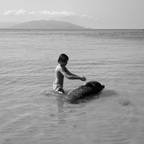 Photo #11958289