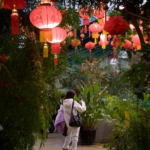 Photo #11958292