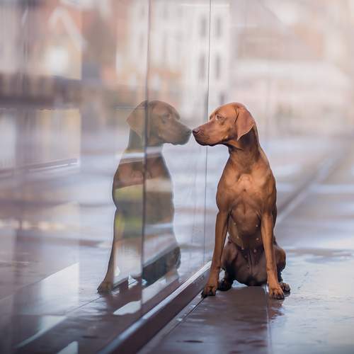 Фотография #11958350