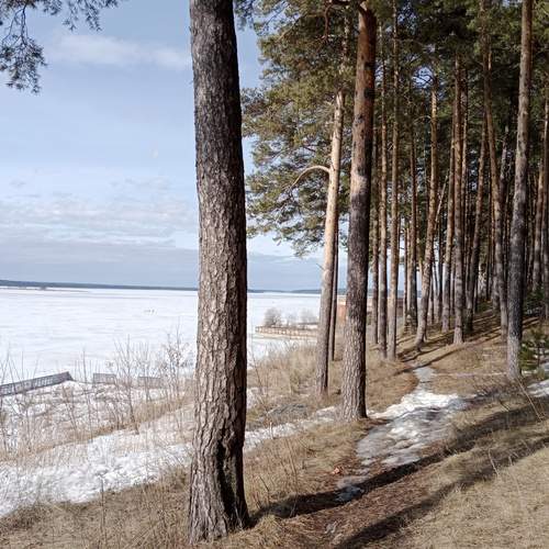 Photo #11958439