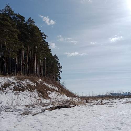 Photo #11958441