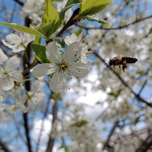 Photo #11958689