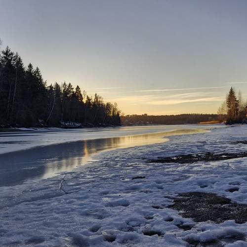 Photo #11958701