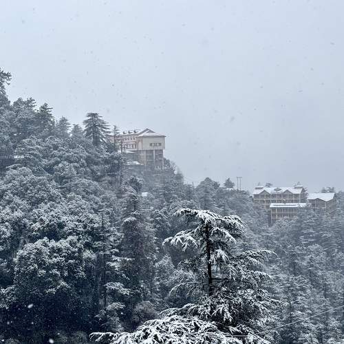 Shimla Snowfall