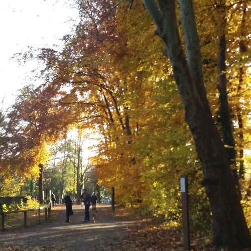 Photo #11958831