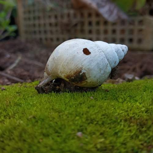 Photo #11958856