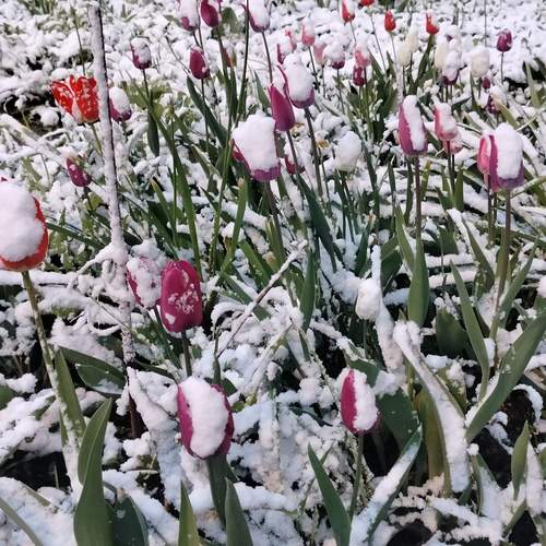 Photo #11958894