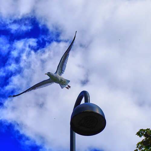 Photo #11959188