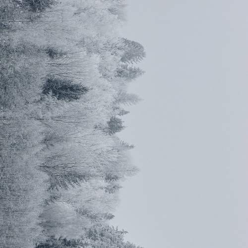 Photo #11959225