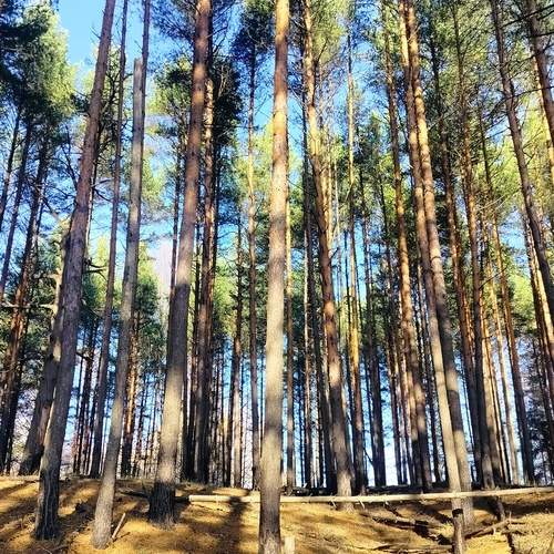 Photo #11959238