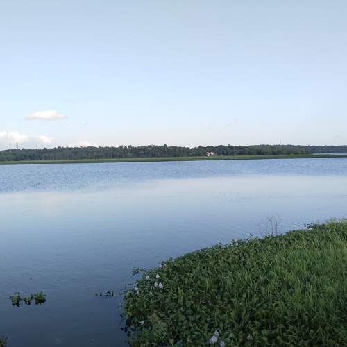 Photo #11959277