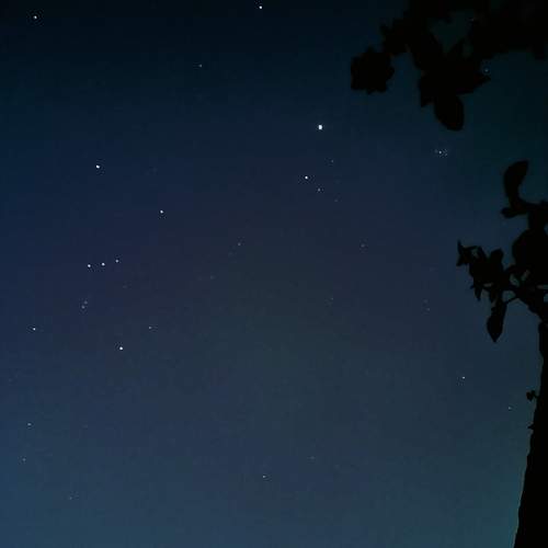 Photo #11959442