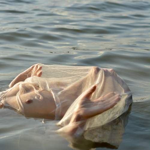 Photo #11959593