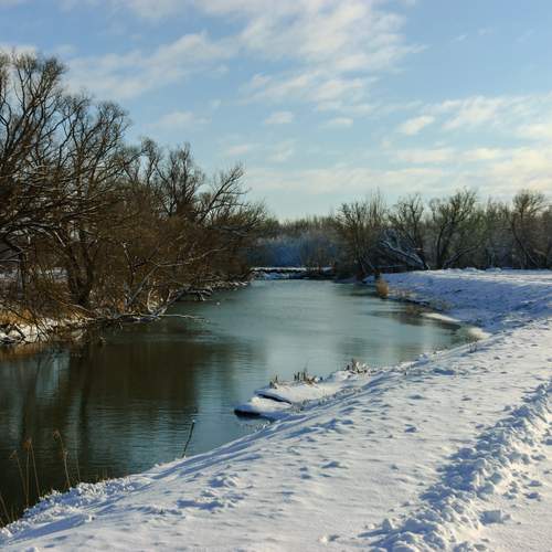 Photo #11959615