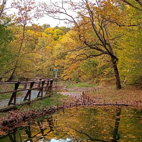 Photo #11959681