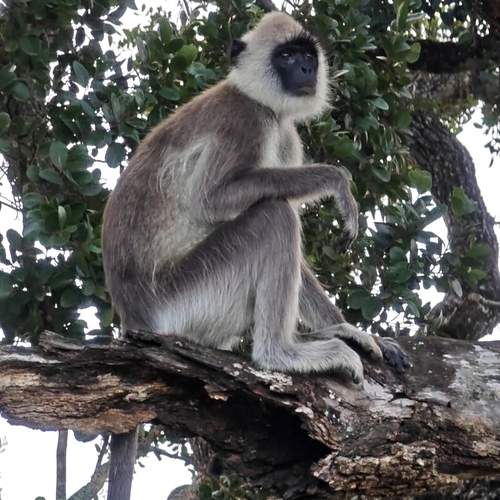 Photo #11959697