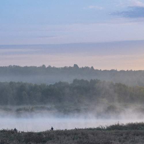 Photo #11959874