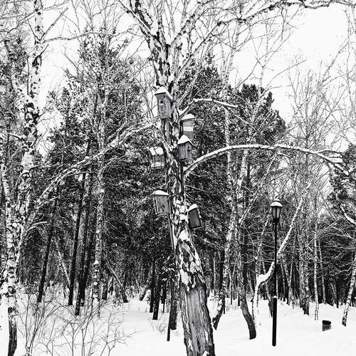 Photo #11959988