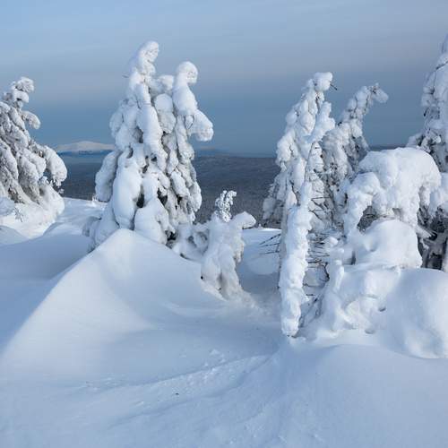 Photo #11960013