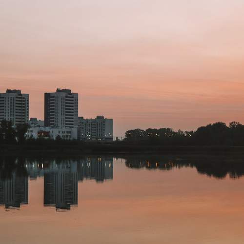Photo #11960041