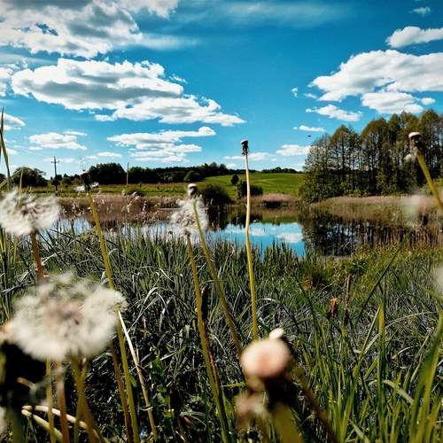 Photo #11960059