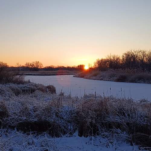 Photo #11960115