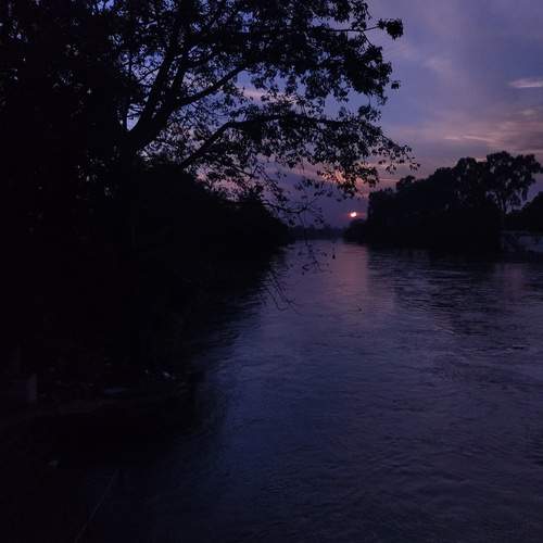 Photo #11960282