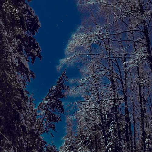 Photo #11960501