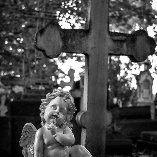 Photo #11960512