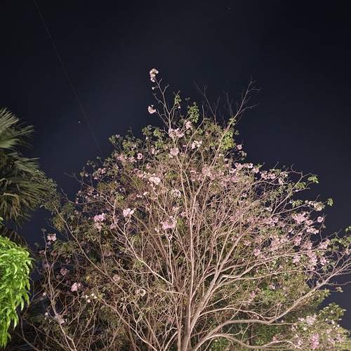 Photo #11960747