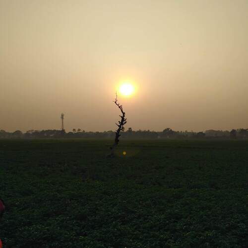 Photo #11960784