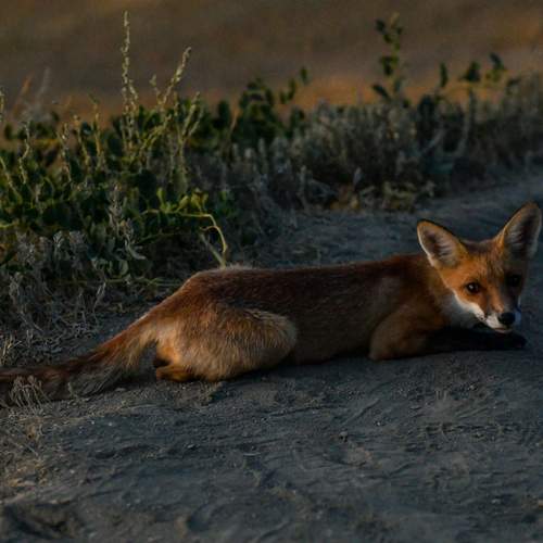 Photo #11960798