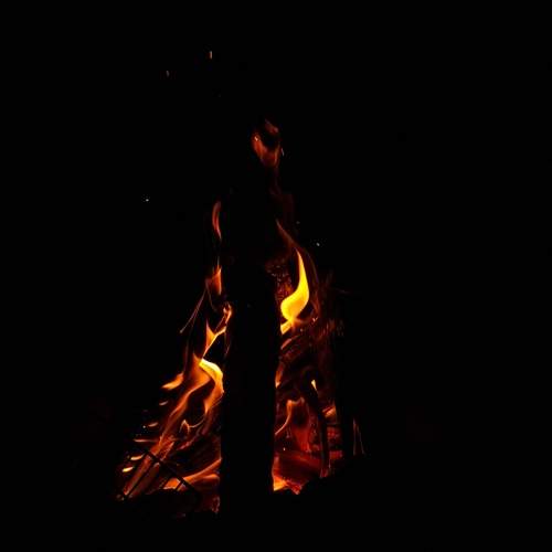 Photo #11960815