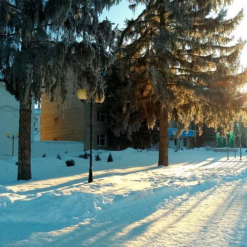 Photo #11960938