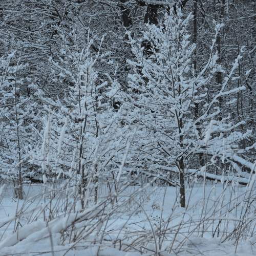 Photo #11960958