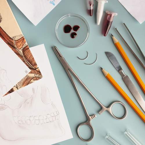 Photo #11961005