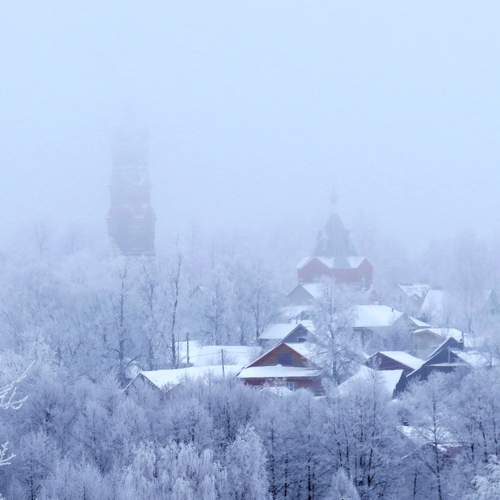 Photo #11961306