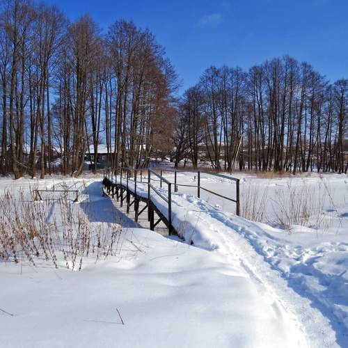 Photo #11961344