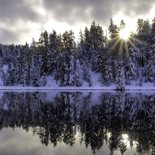 Photo #11961496
