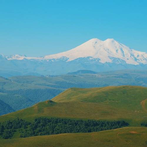 Photo #11961525