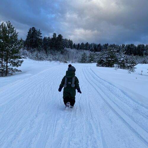 Photo #11961723