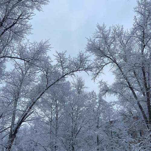 Photo #11961725