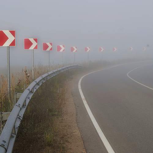 Photo #11961874