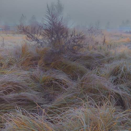 Photo #11961986