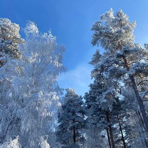 Photo #11962044