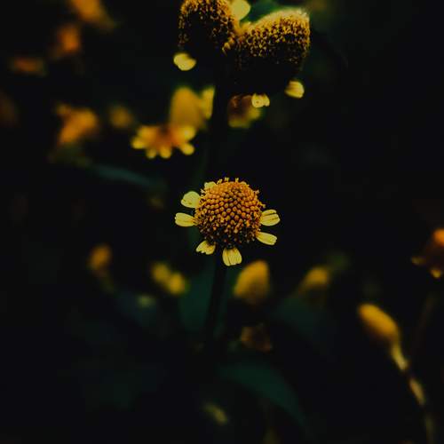 Photo #11962090