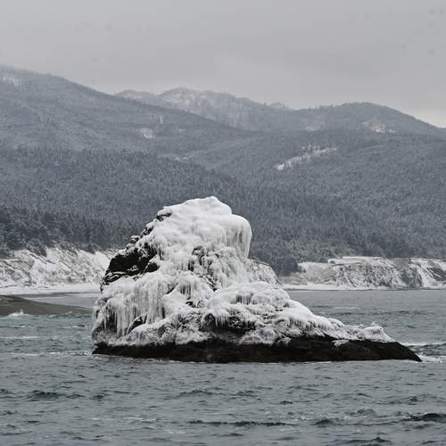 Photo #11962169