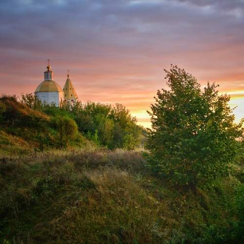 Photo #11962255
