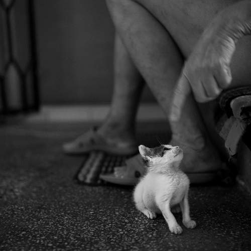 Photo #11962402